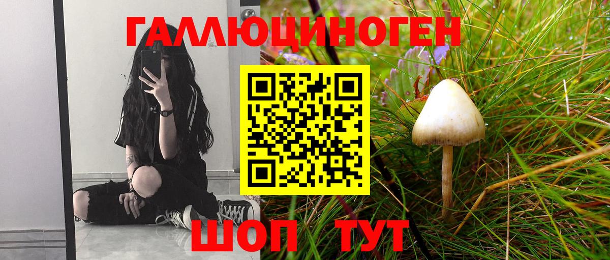 Галлюциногенные грибы Magic Shrooms Чистополь